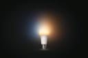 Philips Hue White Ambiance E27 1100 Smart Bulb White