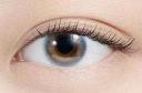 Pia N's Collection Cider 10 Sheets -2.00|contact|Color Lens