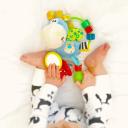 Playgro Clip Clop Activity Rattle
