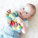 Playgro Clip Clop Activity Rattle