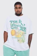 Plus Oversized Fruit T-Shirt & Short Set