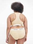 Plus Size Modern Cotton Naturals Bikini Brief Neutral 3x
