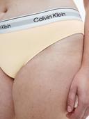Plus Size Modern Cotton Naturals Bikini Brief Neutral 3x