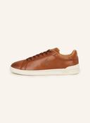 Polo Ralph Lauren Leather Sneakers - Brown - 12
