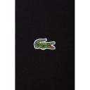 Polo Shirt Erkek Original Fit Lacoste L1212 031