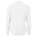 Premier Womens/Ladies Poplin Long Sleeve Blouse / Plain Work Shirt Khaki 24