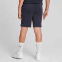 Puma Alpha Shorts in Navy M
