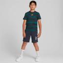 Puma Alpha Shorts in Navy M