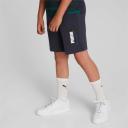 Puma Alpha Shorts in Navy M