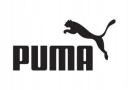 Puma-Boys Green Logo T-Shirt