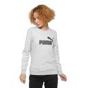 Puma Core Crew Sweatshirt - Grey
