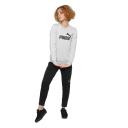 Puma Core Crew Sweatshirt - Grey