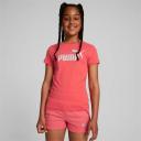 Puma Essentials Logo Tee in Pink S
