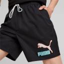 Puma - Fandom Shorts in Black