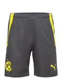 Puma Men's Performance Woven 7" Shorts (Castlerock, Size L)