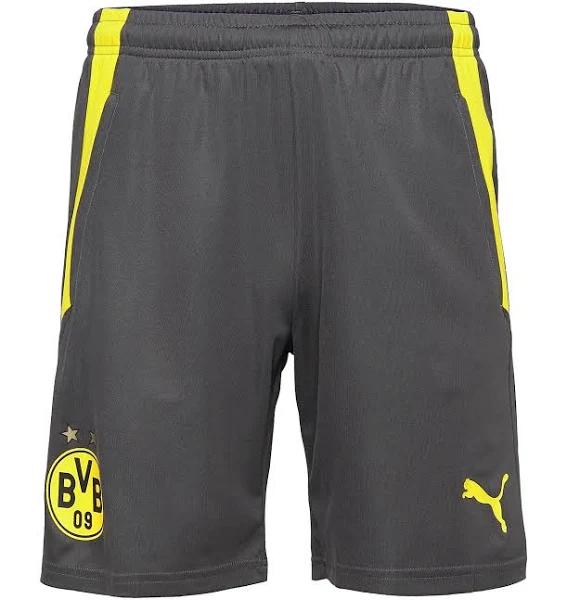 Puma Men's Performance Woven 7" Shorts (Castlerock, Size L)