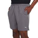 Puma Men's Performance Woven 7" Shorts (Castlerock, Size M)