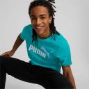 Puma Mens Essentials+ 2 Colour Logo Tee Blue M @ Rebel Active