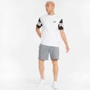 Puma | Mens Power Shorts