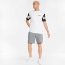 Puma | Mens Power Shorts