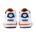 Puma Palace Guard