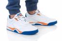 Puma Palace Guard