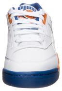 Puma Palace Guard