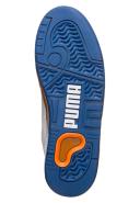 Puma Palace Guard