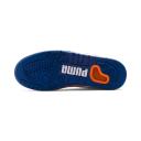 Puma Palace Guard