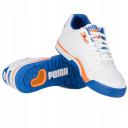 Puma Palace Guard