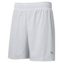 Puma Run Favourites 2in1 Shorts in Grey