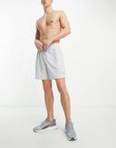 Puma Run Favourites 2in1 Shorts in Grey