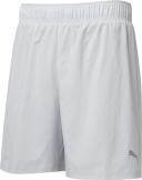 Puma Run Favourites 2in1 Shorts in Grey