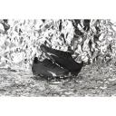 Puma Ultra.1 Firm Ground Football Boots Adults, Size 12, Black