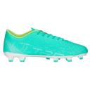 Puma Ultra Play FG/AG M 107224 03 Football Shoes Green