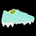 Puma Ultra Play Firm Ground Cleats