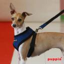 Puppia Soft Dog Harness Purple