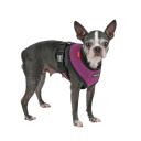 Puppia Soft Dog Harness Purple