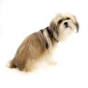 Puppia Soft Mesh Dog Harness Purple XXL