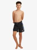 Quiksilver Boys Surfsilk Arch 15" Boardshorts Black 14
