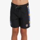 Quiksilver Boys Surfsilk Arch 15" Boardshorts Black 14