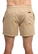 Quiksilver Everyday 15 Swimming Shorts Beige M Man