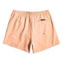 Quiksilver Everyday 15 Swimming Shorts Beige M Man