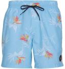 Quiksilver Everyday Mix Volley 17" Boardshort in Insignia Blue XS
