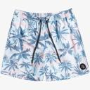Quiksilver Everyday Mix Volley 17" Boardshort in Insignia Blue XS