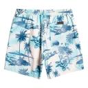 Quiksilver - Everyday Mix Volley 17 - Size M