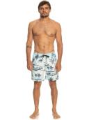 Quiksilver - Everyday Mix Volley 17 - Size M