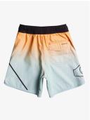 Quiksilver Everyday New Wave 12" Boardshorts in Orange 2