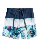 Quiksilver Everyday Panel 12" Boardshorts in Blue 7