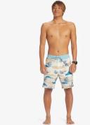 Quiksilver Everyday Solid Boardshort '20 in Grey 36